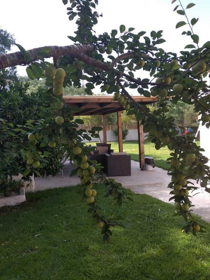 Villa Thanos Marathiás Exteriér fotografie